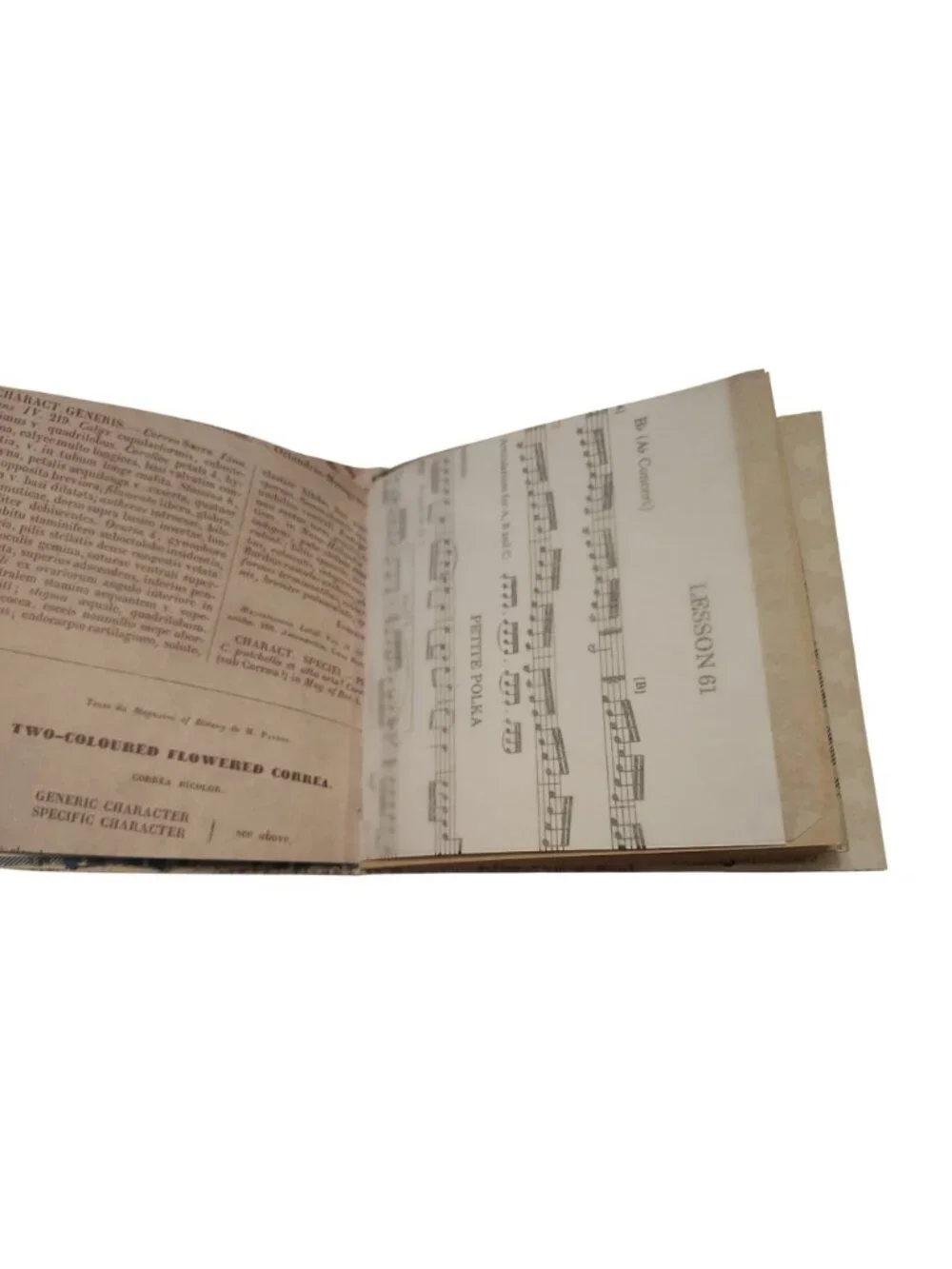 Junk Journal Travel Theme 68 pages Handmade